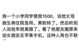 赵县为什么选择专业追讨公司来处理您的债务纠纷？